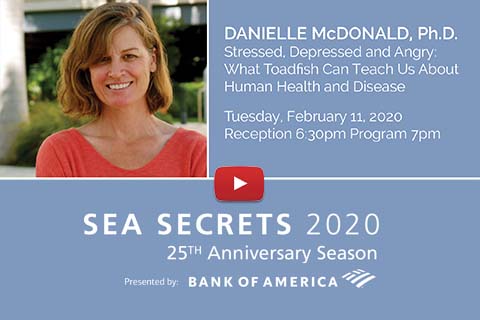 sea secrets 2020