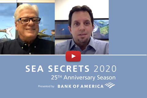 sea secrets 2020