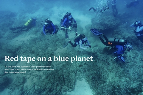 rosenstiel school news Red tape on a blue planet