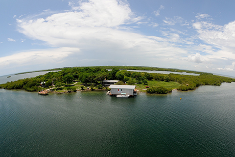 Broad Key